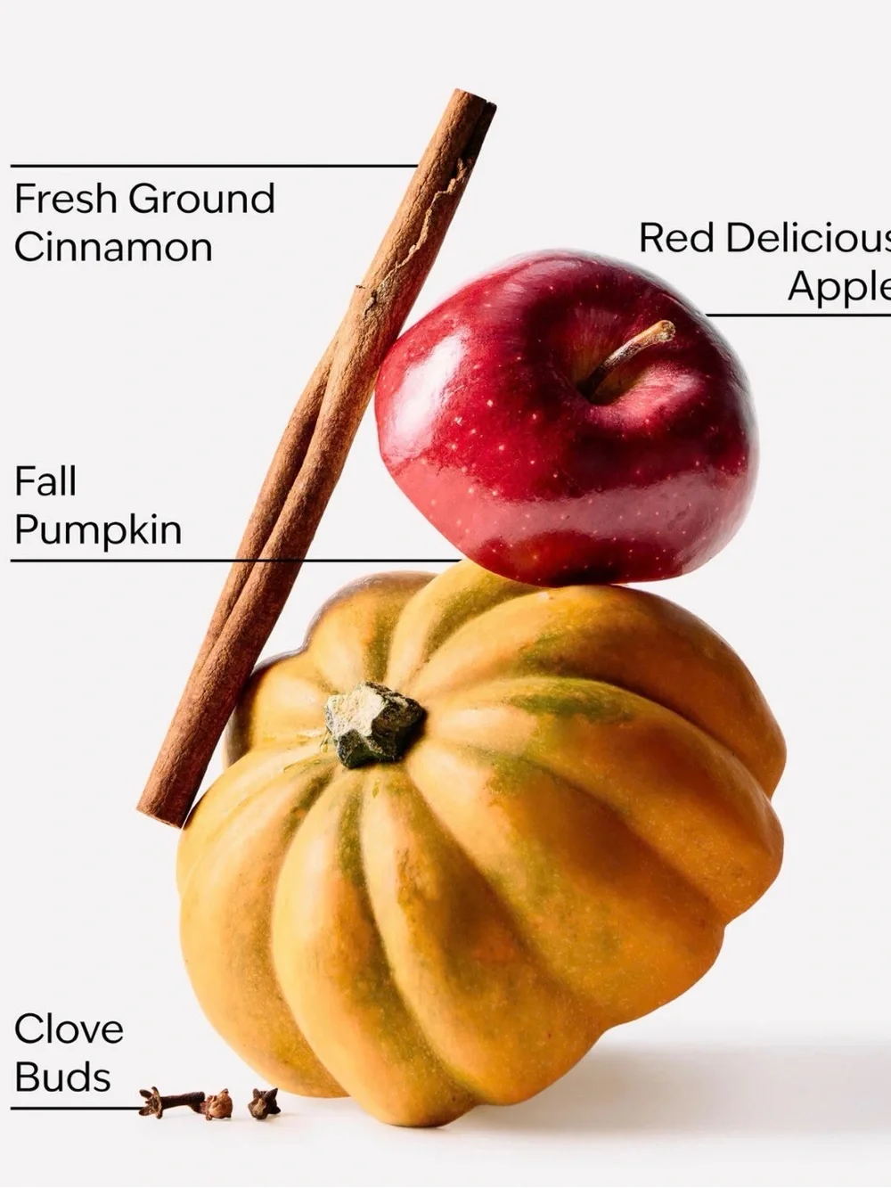 Bath & Body Works Pumpkin Carving Foaming Hand Soap + 1 handsanitizer